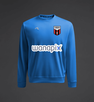 SUDADERA DE ENTRENAMIENTO - JUGADORES - WANAPIX 26/27