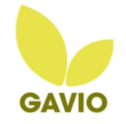 Gavio